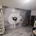 Apartma Cebelica Apartment