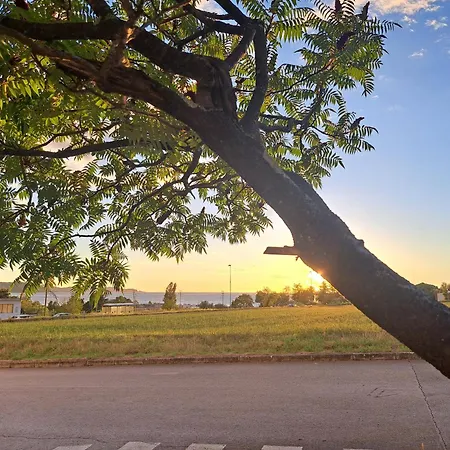 Apartma Cebelica 아파트 안카란